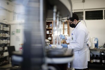 El primer virófago fue descubierto