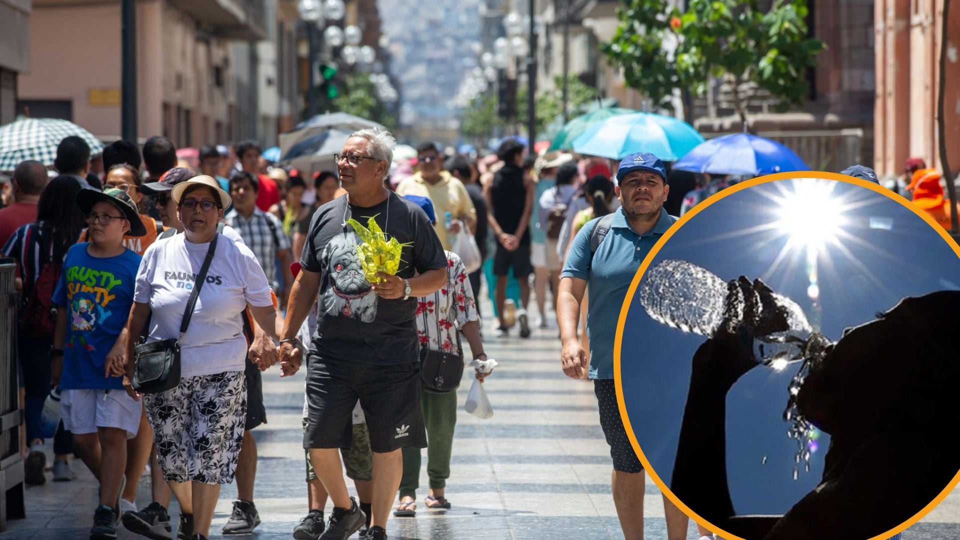 Ola de calor no se irá: Aumento de temperatura persistirá hasta marzo de 2027