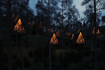 Los hospedajes del hotel bosque