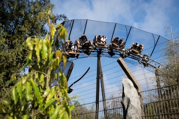 La víctima, de nacionalidad mexicana