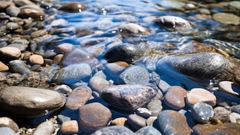 Descubre el contexto y uso