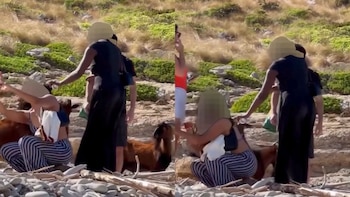Denuncian en redes a un grupo de turistas por dar cerveza a unas cabras en Mallorca: “Los animales no están para nuestro entretenimiento”