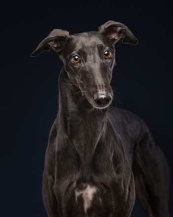 Elke contó a Infobae que