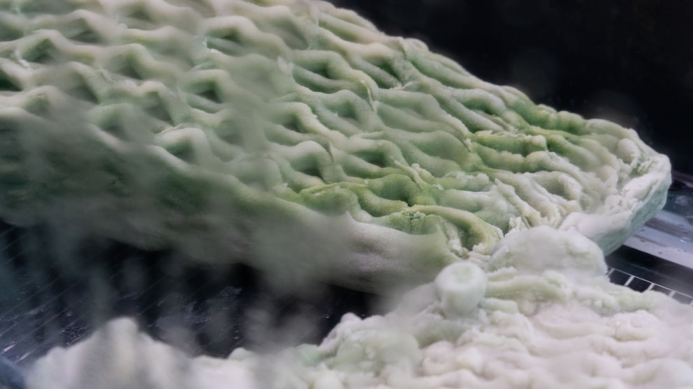 Un hidrogel con cianobacterias podría revolucionar la lucha contra el cambio climático urbano