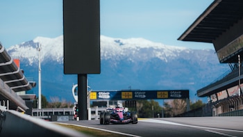 Informe especial: por qué los