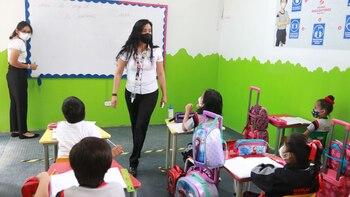 Estudiantes de nivel básico podrán