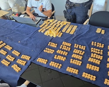 El botín, de 9 millones de euros en oro, se encontraba oculto en una bolsa emparedada en el sótano de una antigua cervecería (Policía Local de Dendermonde)