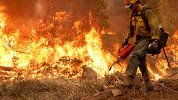 Calor extremo, incendios, inundaciones y