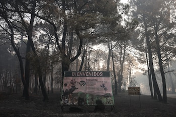 Terreno quemado por el incendio forestal a las afueras de Casavieja. (Alejandro Martínez Vélez/Europa Press)