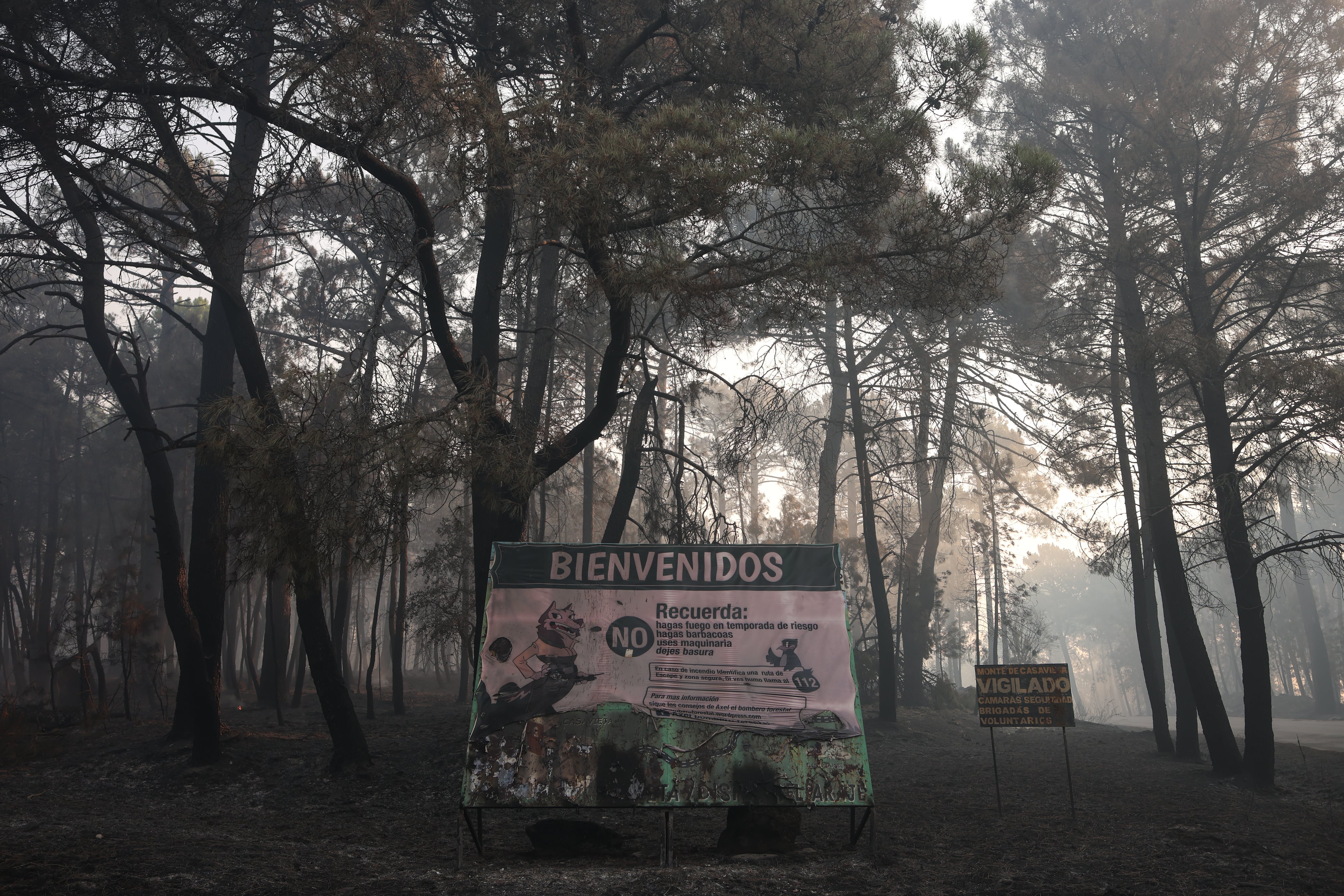Terreno quemado por el incendio forestal a las afueras de Casavieja. (Alejandro Martínez Vélez/Europa Press)