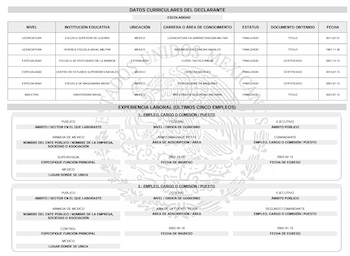Currículum académico de Manuel Roberto Farías Laguna. Crédito: DeclaraNet