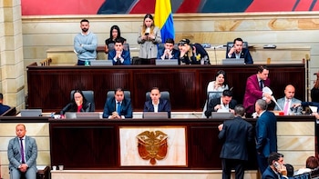 Debate en el Congreso por propuesta de transmisión de mando en Cali inquieta a líderes locales - crédito @AnaErazoR/X