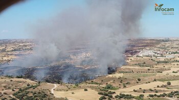 Incendio en La Torre de