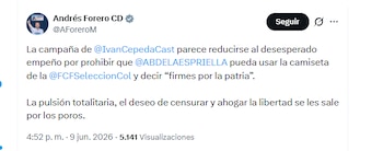 El congresista Andrés Forero rechazó orden de retirar la propaganda electoral de Abelardo de la Espriella que tenga símbolos patrios - crédito @AForeroM/X