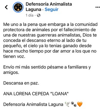 Todas las personas que la