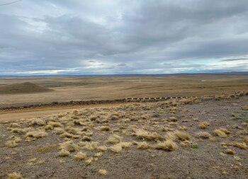 Por sus vientos y por