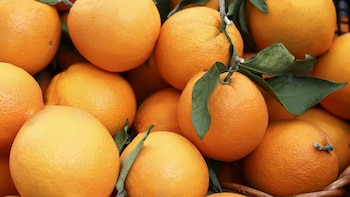 Habría un avance de un 8% frente a la campaña previa.