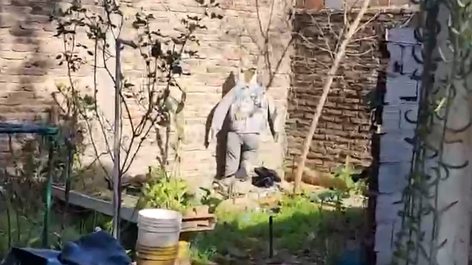 El jardín donde estaban los cuerpos