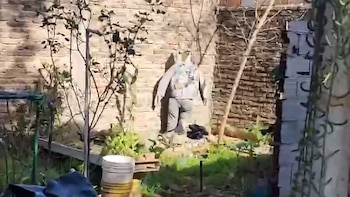 El jardín donde estaban los