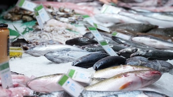 Los tipos de pescado que no deben comer ni niños ni embarazadas, según un científico