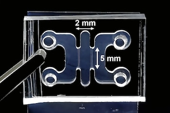 El desarrollo de chips de