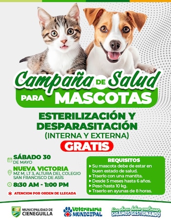Los organizadores pidieron a los vecinos llevar a sus mascotas con una mantita y trasladarlas con control para evitar incidentes en la zona de espera - Créditos: Municipalidad de Cieneguilla.