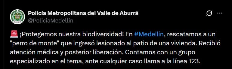 El Amva y la Policía recomendaron no manipular animales silvestres y reportar los casos por WhatsApp al 304 630 0090 o a la línea 123 - crédito @PoliciaMedellin / X