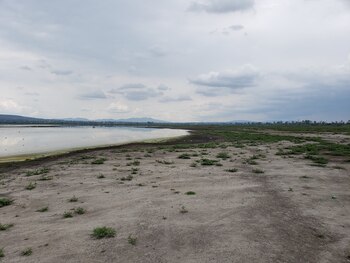 Lago Zumpango, Estado de México