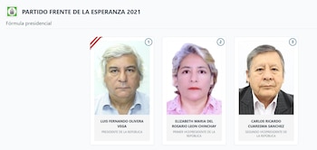 Lista de vicepresidentes en Perú 2026: estos son los acompañantes de cada candidato: Captura: ONPE.