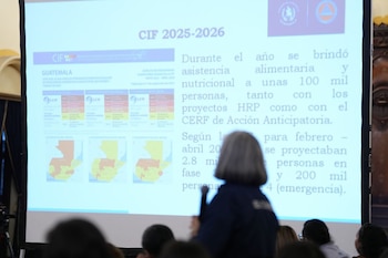 Pantalla de proyección exhibe gráficos y mapas de Guatemala relacionados con la seguridad alimentaria, con la parte posterior de la cabeza de un presentador