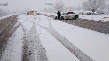 Foto: @GN_MEXICO_
/ Twitter