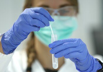 El nuevo se conoce como