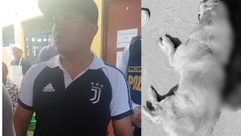 Crueldad en Chiclayo: carnicero es