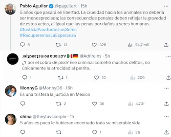 Criticas a justicia mexiquense - caso Scooby