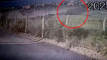 Tras embestir al joven, el