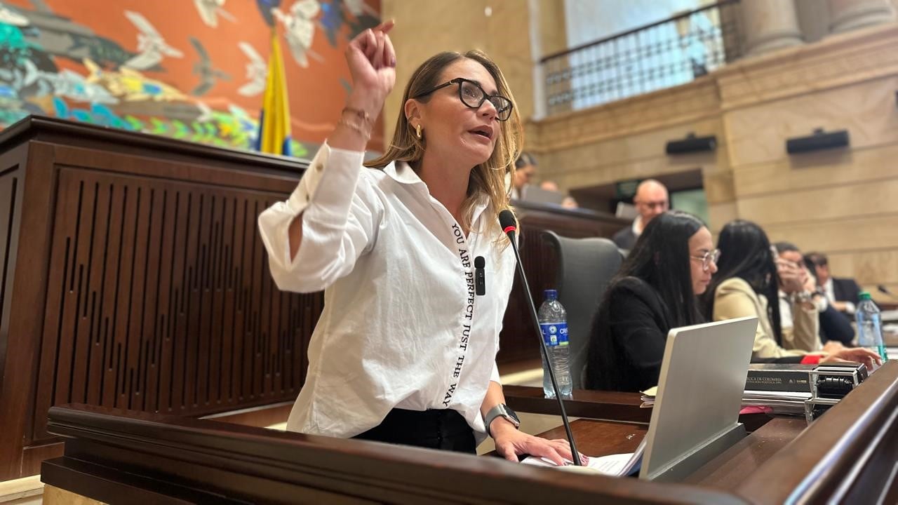 La excongresista también cuestionó que la UNP no hubiera valorado, según lo expuesto en la demanda, nuevas circunstancias que fueron incorporadas al expediente administrativo antes de adoptar la decisión sobre su esquema de seguridad - crédito @CamaraColombia/X