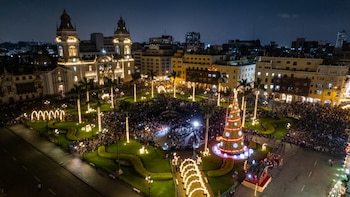 Guía práctica de los árboles