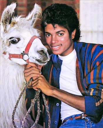 A Freddie Mercury no le