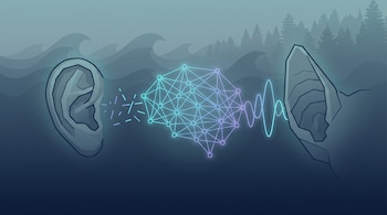 Ilustración de una oreja humana y una oreja animal unidas por una red neuronal digital y ondas sonoras sobre un fondo de bosque y olas.