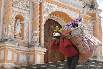 Un hombre carga flores de la especie Limonium sinuatum, conocida popularmente como "siempreviva" o "inmortal" el 18 de marzo de 2026 en San Pedro Las Huertas (Guatemala). EFE/ Alex Cruz