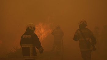 Boric declara el estado de