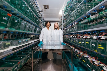 El seguimiento continuo del comportamiento