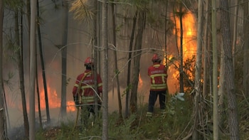 Desde Portugal hasta Grecia, los
