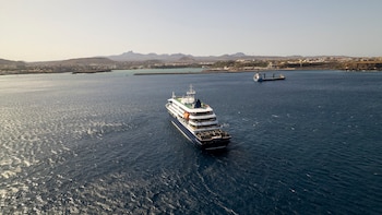 ¿Puedo contagiarme de hantavirus? ¿Es más peligroso que el coronavirus? Todas las preguntas y respuestas sobre la crisis del crucero