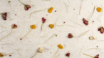 Secar flores. (Adobe Stock)