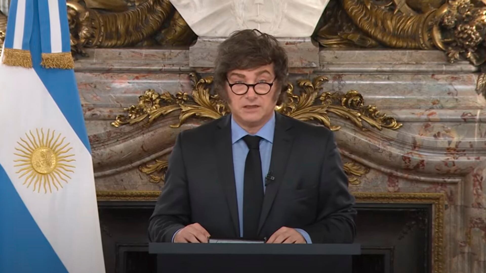 Javier Milei habló en cadena nacional (Captura de video)