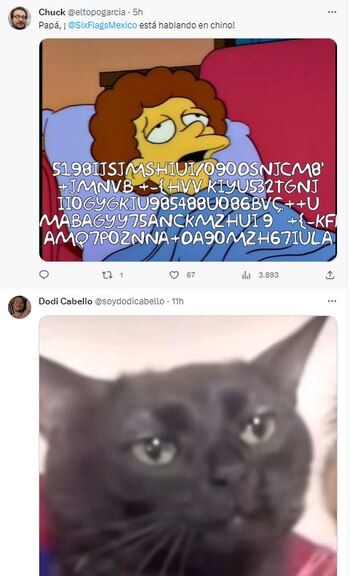 (Captura de pantalla/Twitter)