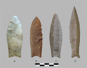 Jesse Tune y Shane Miller analizaron casi 500 puntas de lanza del valle del río Tennessee para evaluar la adaptación humana durante la Edad de Hielo - ( J Archaeol Method Theory 34, 14 (2027). https://doi.org/10.1007/s10816-026-09825-w)