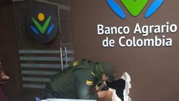 En diversas ocasiones han atacado