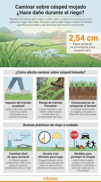 Infografía sobre césped: rociador, huellas, piernas, bota, raíces, medidor de agua de 2,54 cm, reloj y sol para riego, señal de stop, coche, cortadora y figuras.